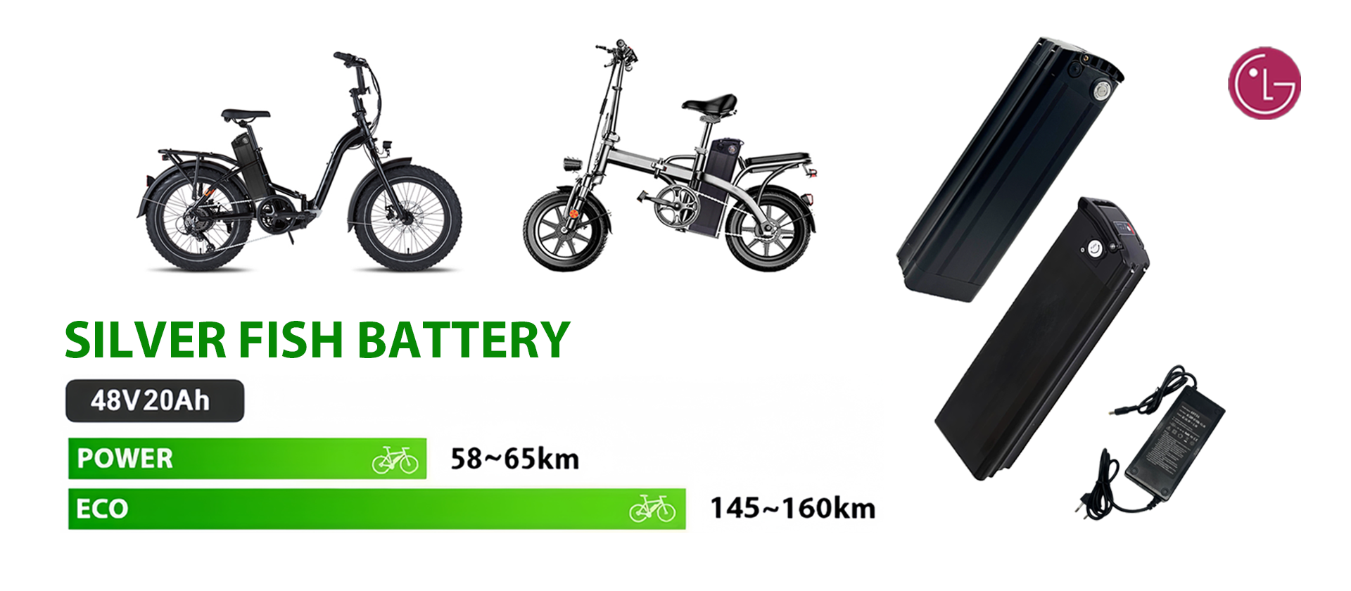 轮播2 银鱼绿色字体